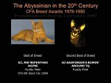 Slide261.JPG