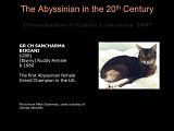 Slide268.JPG
