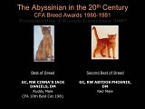 Slide269.JPG