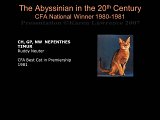 Slide270.JPG