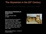 Slide298.JPG