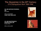 Slide307.JPG