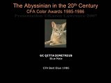 Slide310.JPG