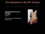 Slide313.JPG