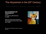 Slide316.JPG