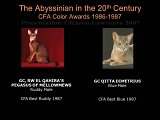 Slide321.JPG
