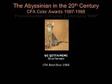 Slide329.JPG