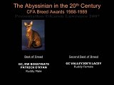 Slide332.JPG