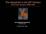Slide340.JPG