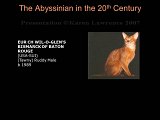 Slide341.JPG