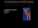 Slide342.JPG