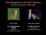 Slide344.JPG