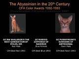Slide373.JPG