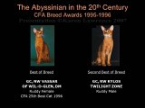 Slide393.JPG