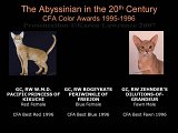 Slide404.JPG