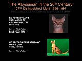 Slide408.JPG