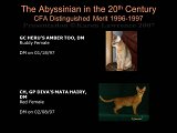 Slide409.JPG