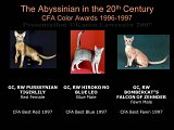Slide415.JPG