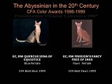 Slide439.JPG