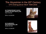 Slide443.JPG